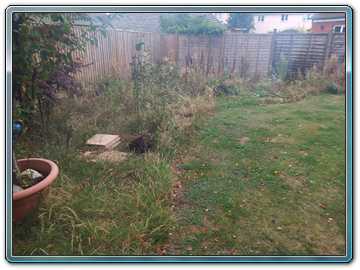 P Shergold Landscaping, Weston-super-Mare - Before